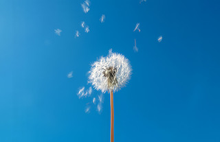 (chung)峿ɢѹӢСNֲ