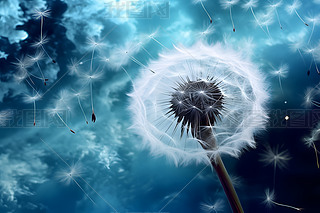 (chung)峿ɢѹӢСNֲ