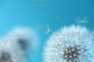 (chung)峿ɢѹӢСNֲ