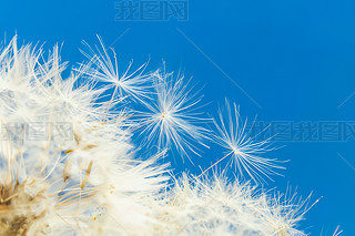 (chung)峿ɢѹӢСNֲ