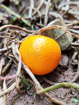 زĽ