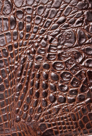 {~ƤyƤyزƤ|(zh)׼y