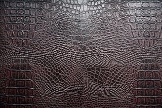 {~ƤyƤyزƤ|(zh)׼y