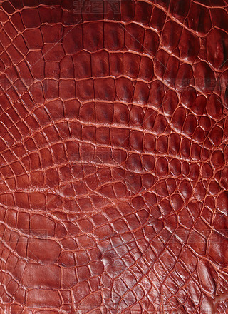 {~ƤyƤyزƤ|(zh)׼y