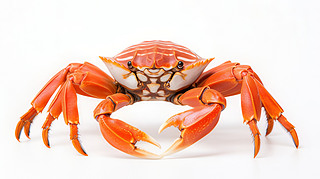 rзS