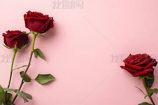 tõY(ji)˹(ji)زĈDƬ