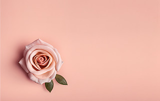 tõY(ji)˹(ji)زĈDƬ