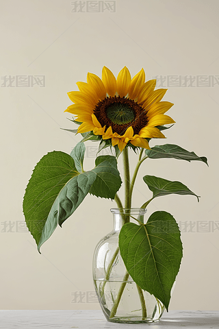 һSɫտƿоGɫ~ӸDƬ