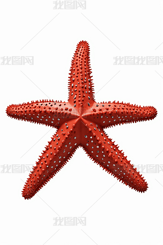 һֻwЈAc(din)ļtɫǸDƬ