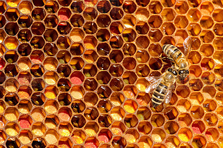 ۷䳲Ϟ߅νY(ji)(gu)