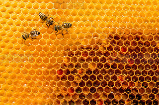 ۷䳲Ϟ߅νY(ji)(gu)