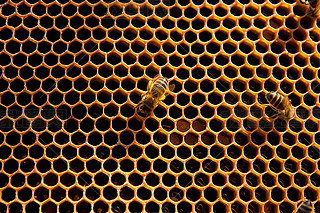 ۷䳲Ϟ߅νY(ji)(gu)