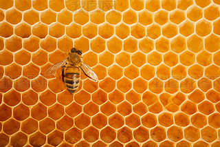 ۷䳲Ϟ߅νY(ji)(gu)