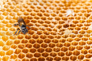 ۷䳲Ϟ߅νY(ji)(gu)