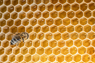 ۷䳲Ϟ߅νY(ji)(gu)