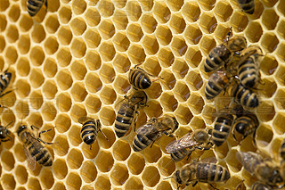 ۷䳲Ϟ߅νY(ji)(gu)