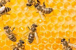 ۷䳲Ϟ߅νY(ji)(gu)