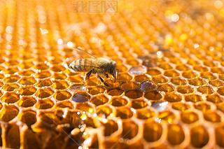 ۷䳲Ϟ߅νY(ji)(gu)