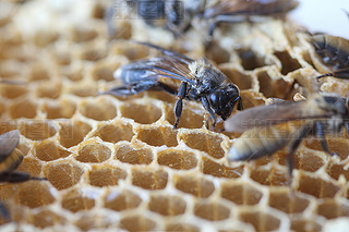 ۷䳲Ϟ߅νY(ji)(gu)