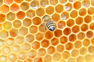 ۷䳲Ϟ߅νY(ji)(gu)