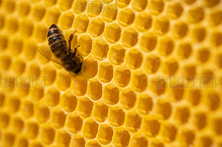 ۷䳲Ϟ߅νY(ji)(gu)