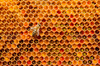 ۷䳲Ϟ߅νY(ji)(gu)