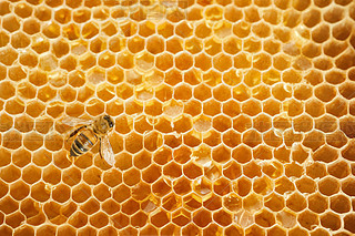 ۷䳲Ϟ߅νY(ji)(gu)