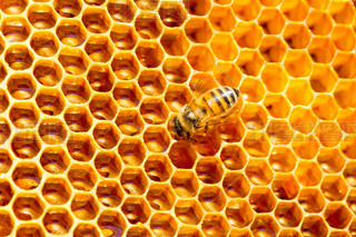 ۷䳲Ϟ߅νY(ji)(gu)