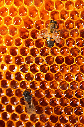 ۷䳲Ϟ߅νY(ji)(gu)