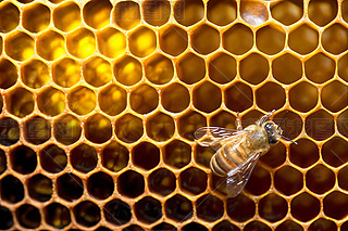 ۷䳲Ϟ߅νY(ji)(gu)