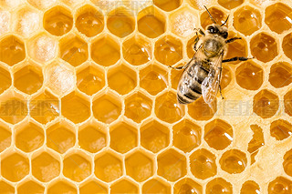 ۷䳲Ϟ߅νY(ji)(gu)