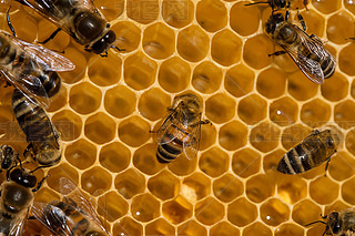 ۷䳲Ϟ߅νY(ji)(gu)