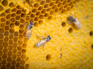 ۷䳲Ϟ߅νY(ji)(gu)