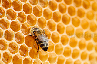 ۷䳲Ϟ߅νY(ji)(gu)