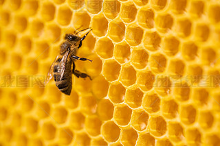 ۷䳲Ϟ߅νY(ji)(gu)