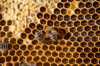 ۷䳲Ϟ߅νY(ji)(gu)