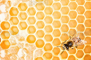 ۷䳲Ϟ߅νY(ji)(gu)