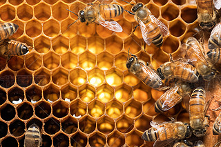 ۷䳲Ϟ߅νY(ji)(gu)