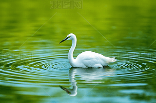 һֻZھGˮ̶΄ӸDƬ