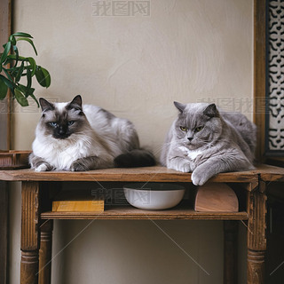 ɐ؈ſ̘I(y)زĸzӰD