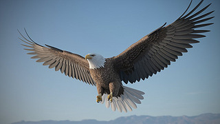 аzӰDΨˇg(sh)̘I(y)ز