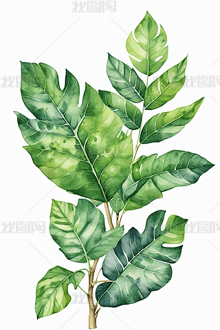 LˮֲGֲ~ԪزĲ宋DƬ