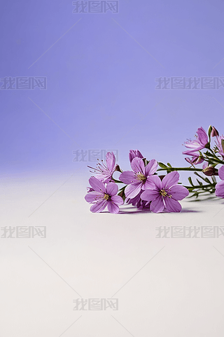 ƝR_DƬ