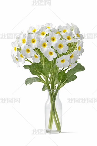 ˇg