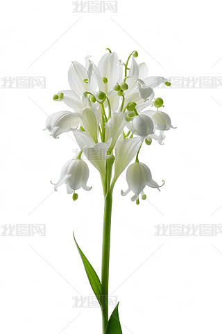 ΰҷۼtɫɫõ_(ki)ŻٰɫDƬ