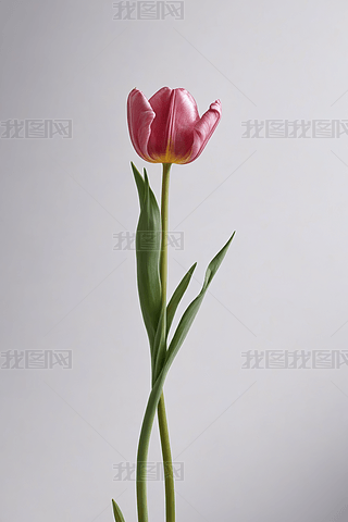 ΂СۼtɫиղݼcֿgDƬ