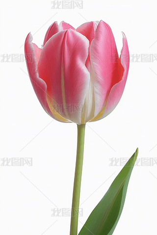 _(ki)ŷۼtɫ㎧~マ(yu)،(xi)DƬ