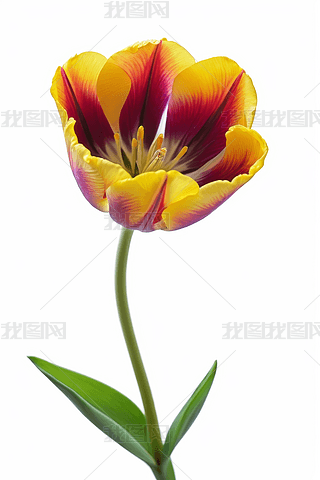 _(ki)żtɫSɫ㻨c~oɫDƬ