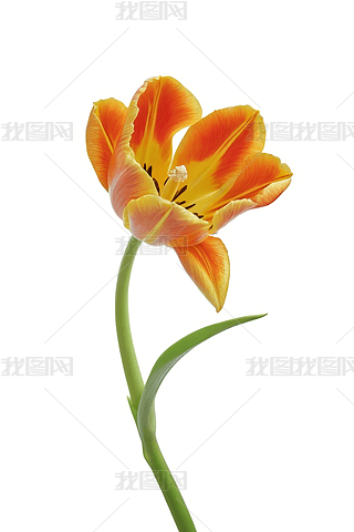 _(ki)ŷۼtɫɫo~L(zhng)ɫDƬ