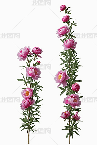 ֲһNһӵ½YֲDƬ
